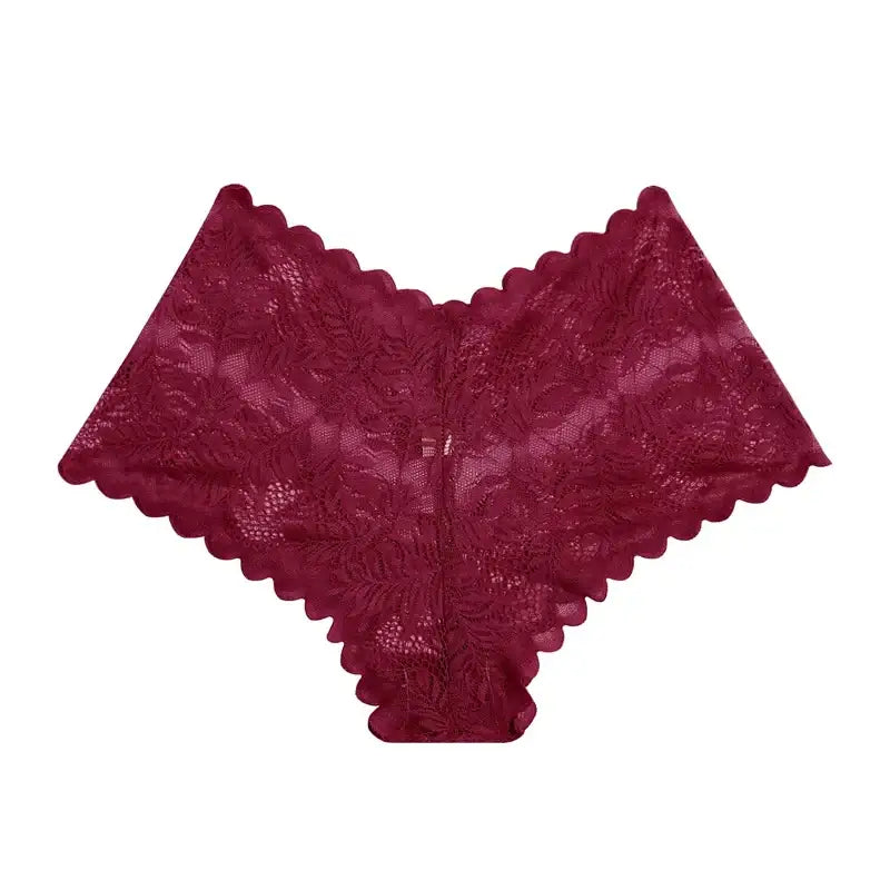Sexy Mesh Lace Low Rise Boyshort Briefs - Women’s Hollow Out See-Through Lingerie