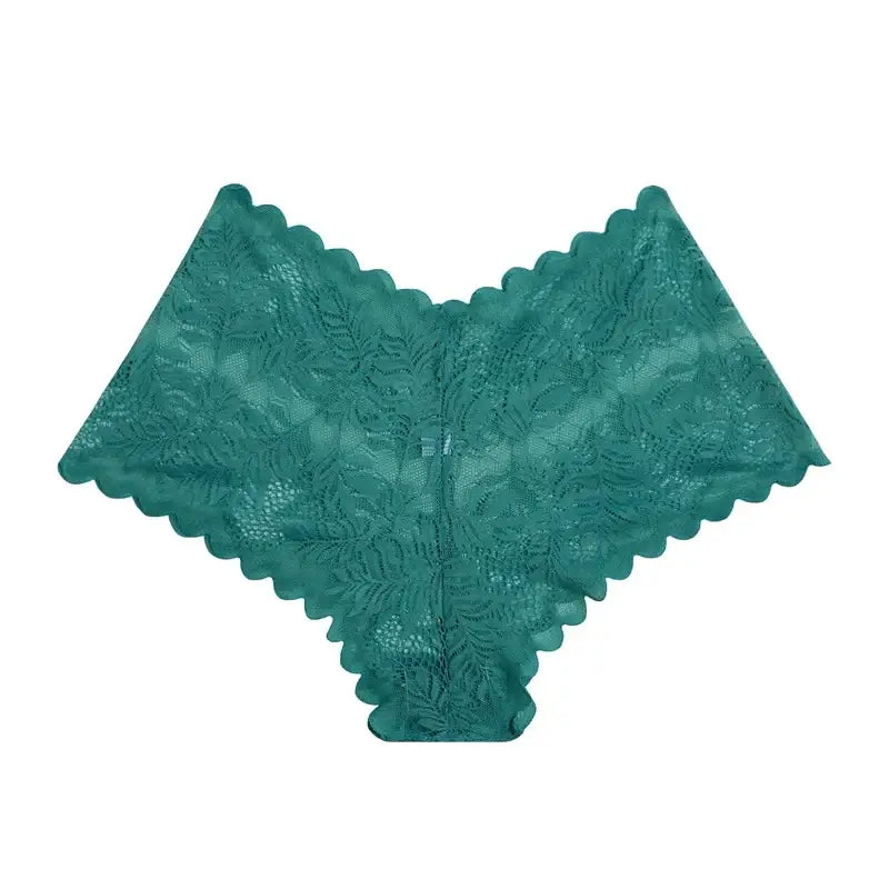 Sexy Mesh Lace Low Rise Boyshort Briefs - Women’s Hollow Out See-Through Lingerie